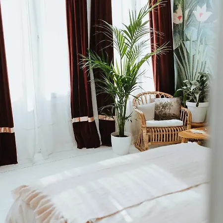 B&B Musa