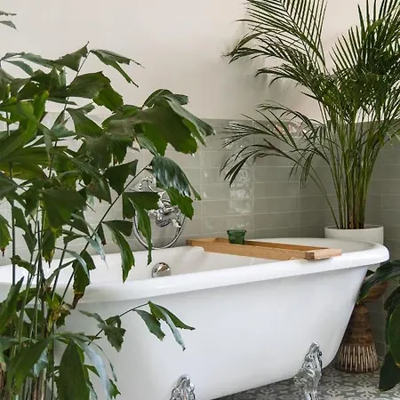 Musa B&B *